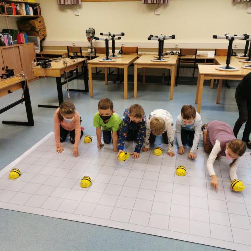 BeeBots