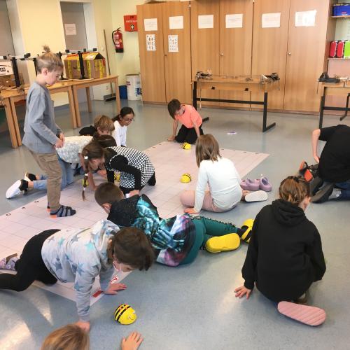 BeeBots
