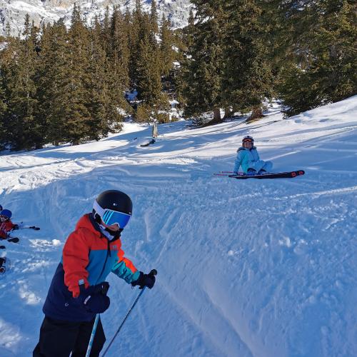 Skifahren