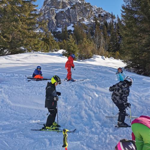 Skifahren