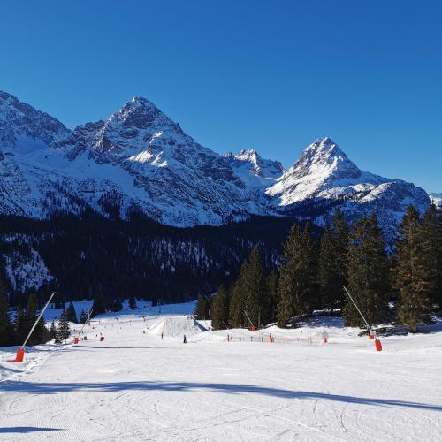 Skifahren