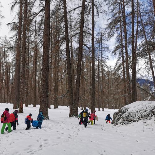 Natopia Winter