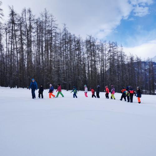 Natopia Winter