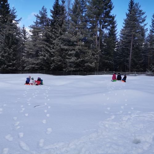Natopia Winter