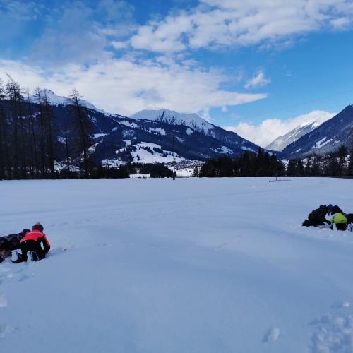 Natopia Winter