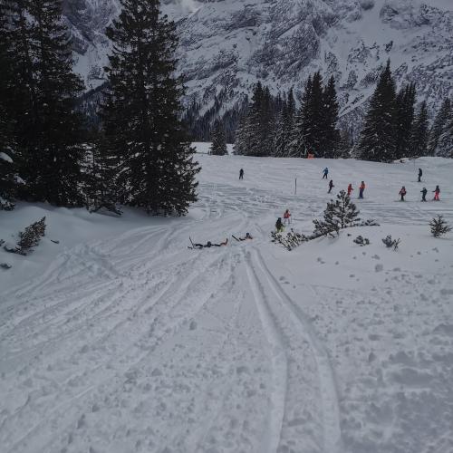 Skitage VS Ehrwald