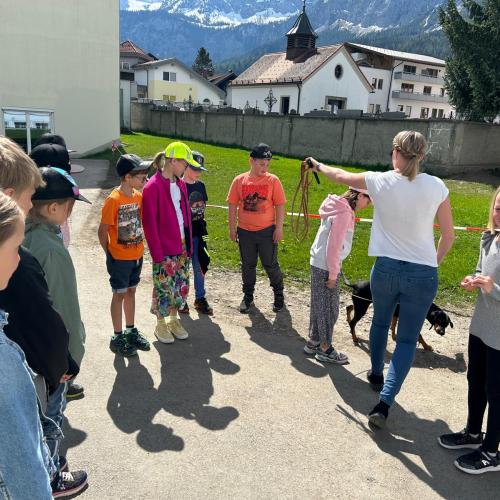 Tierisches Referat