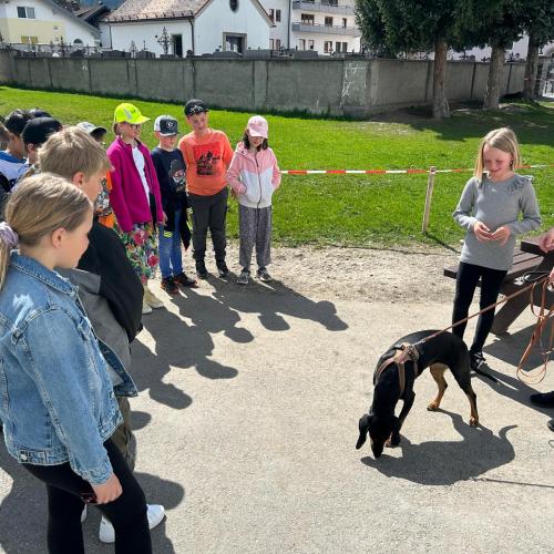 Tierisches Referat