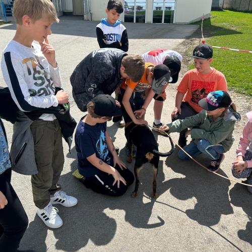 Tierisches Referat