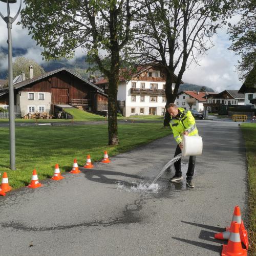 Hallo Auto