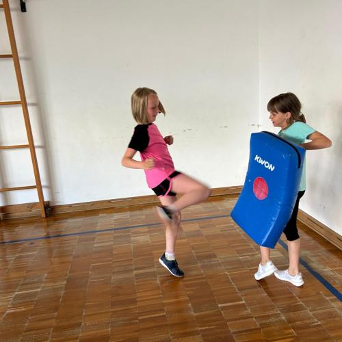 Kickboxen