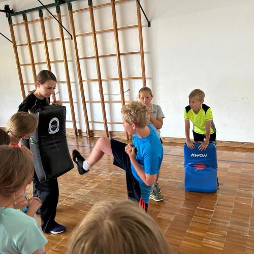 Kickboxen