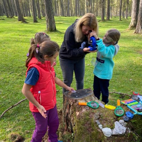 Wald Projekttage 2. Klasse