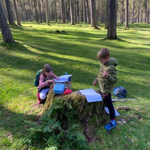 Wald Projekttage 2. Klasse