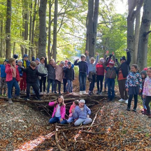 Wald Projekttage 2. Klasse