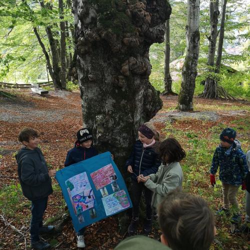 Outdoortage 3. Klasse