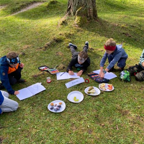 Wald Projekttage 2. Klasse