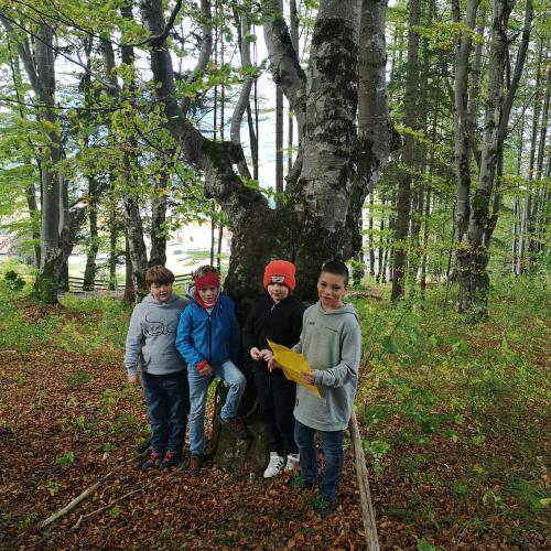 Outdoortage 3. Klasse
