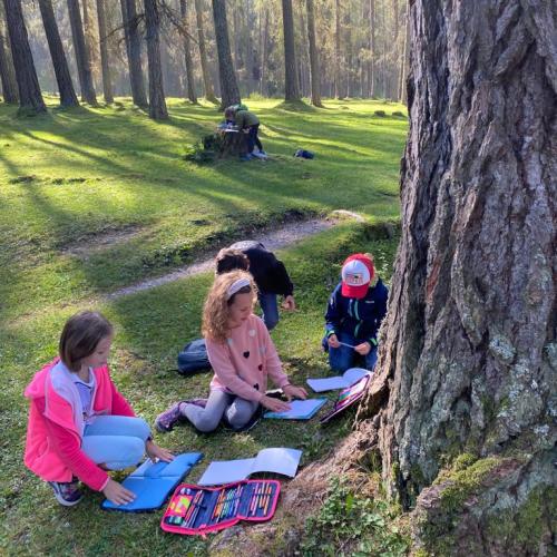 Wald Projekttage 2. Klasse