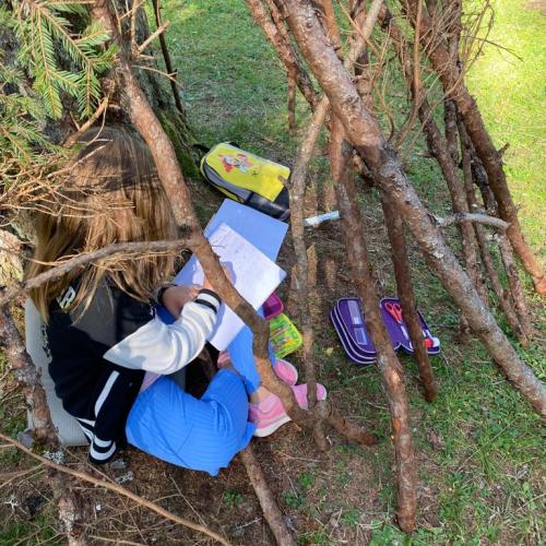 Wald Projekttage 2. Klasse