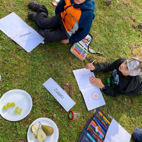 Wald Projekttage 2. Klasse