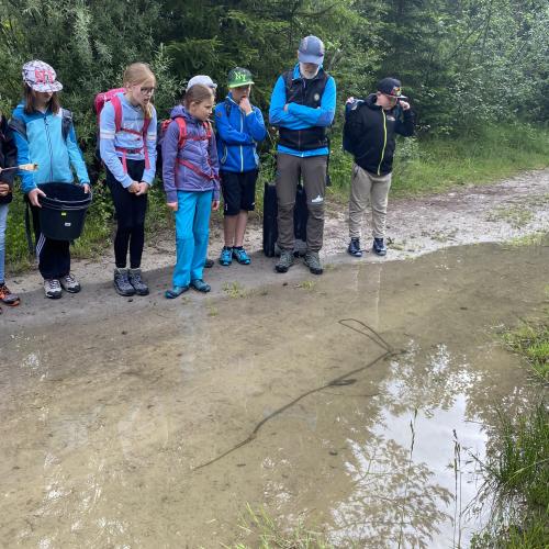 Lechtag IV Auwald