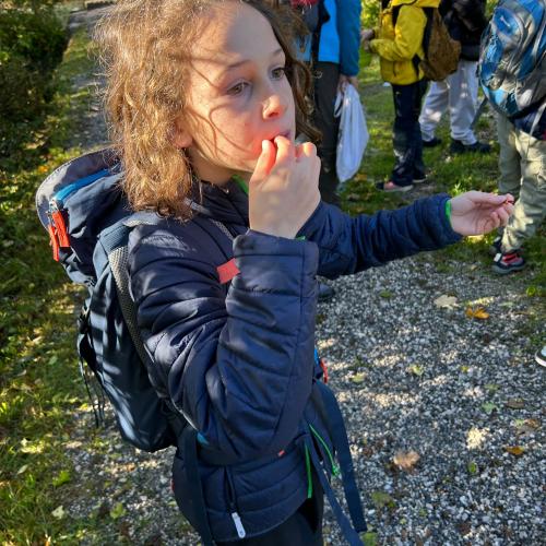 Natopia 4. Klasse