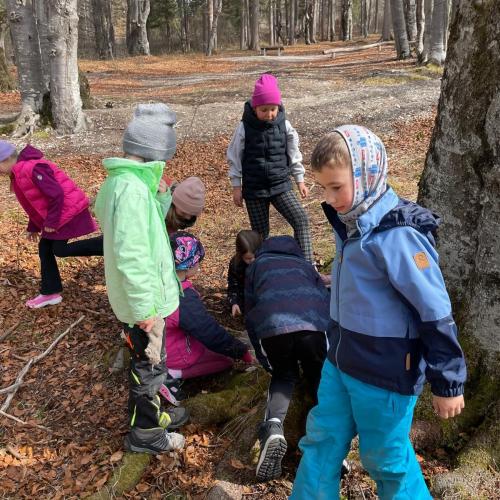 Kleine Künstler im Buchenwald