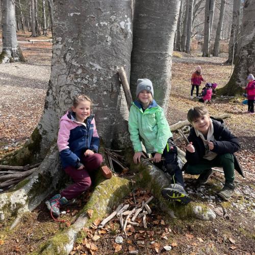 Kleine Künstler im Buchenwald