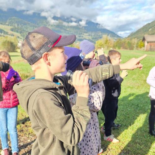 Wiesenvögel Exkursion Herbst 26