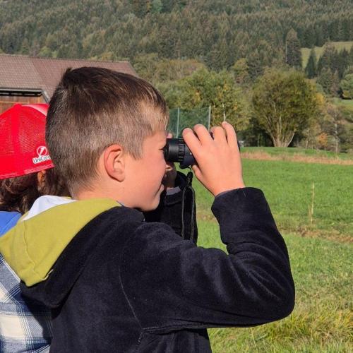 Wiesenvögel Exkursion Herbst 26