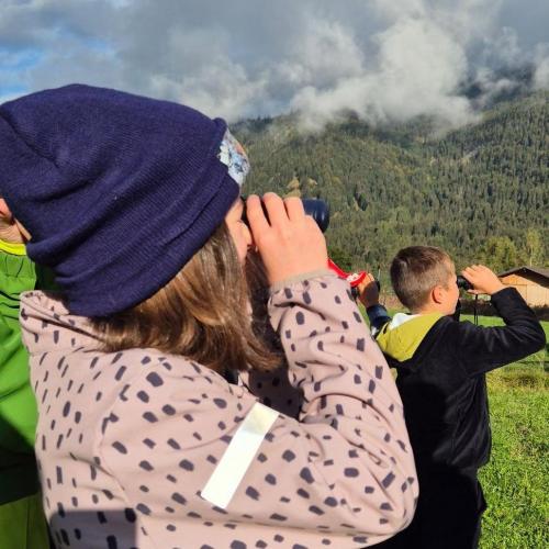 Wiesenvögel Exkursion Herbst 26
