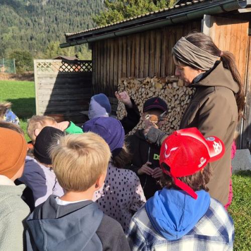 Wiesenvögel Exkursion Herbst 26